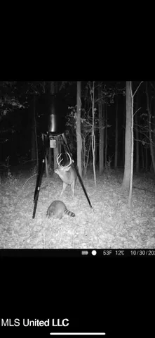 $408,000 | Yandell Road, Canton, MS 39046