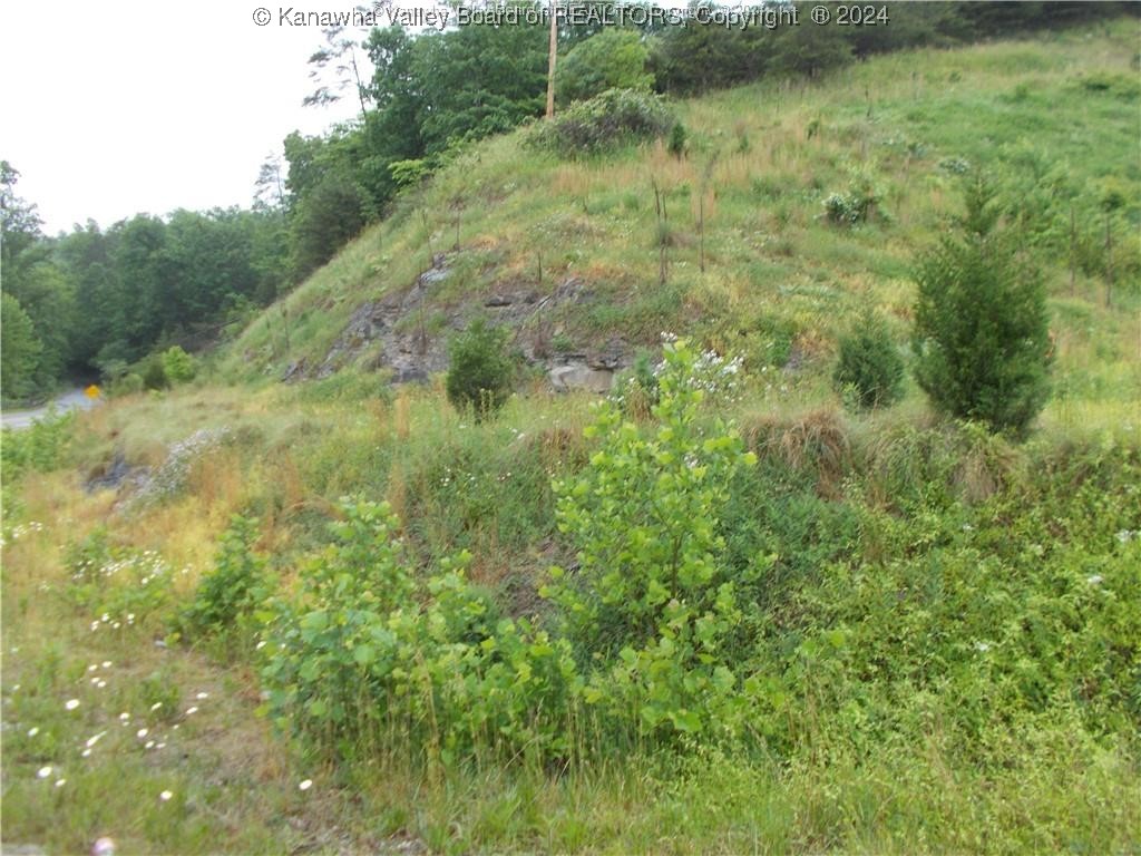 383 Evergreen Road Fraziers Bottom, WV 25082 - Photo 41 of 46 Gallery Image 41