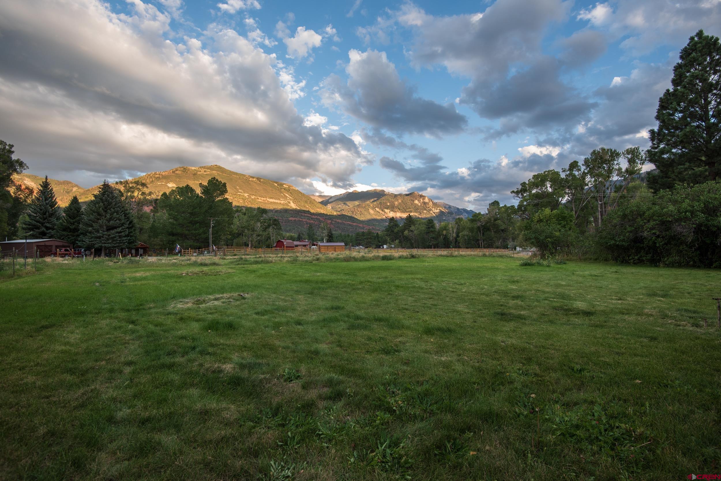 559 Suzanne Lane Ridgway, CO 81432 - Photo 31 of 45 a view of grassy field with trees