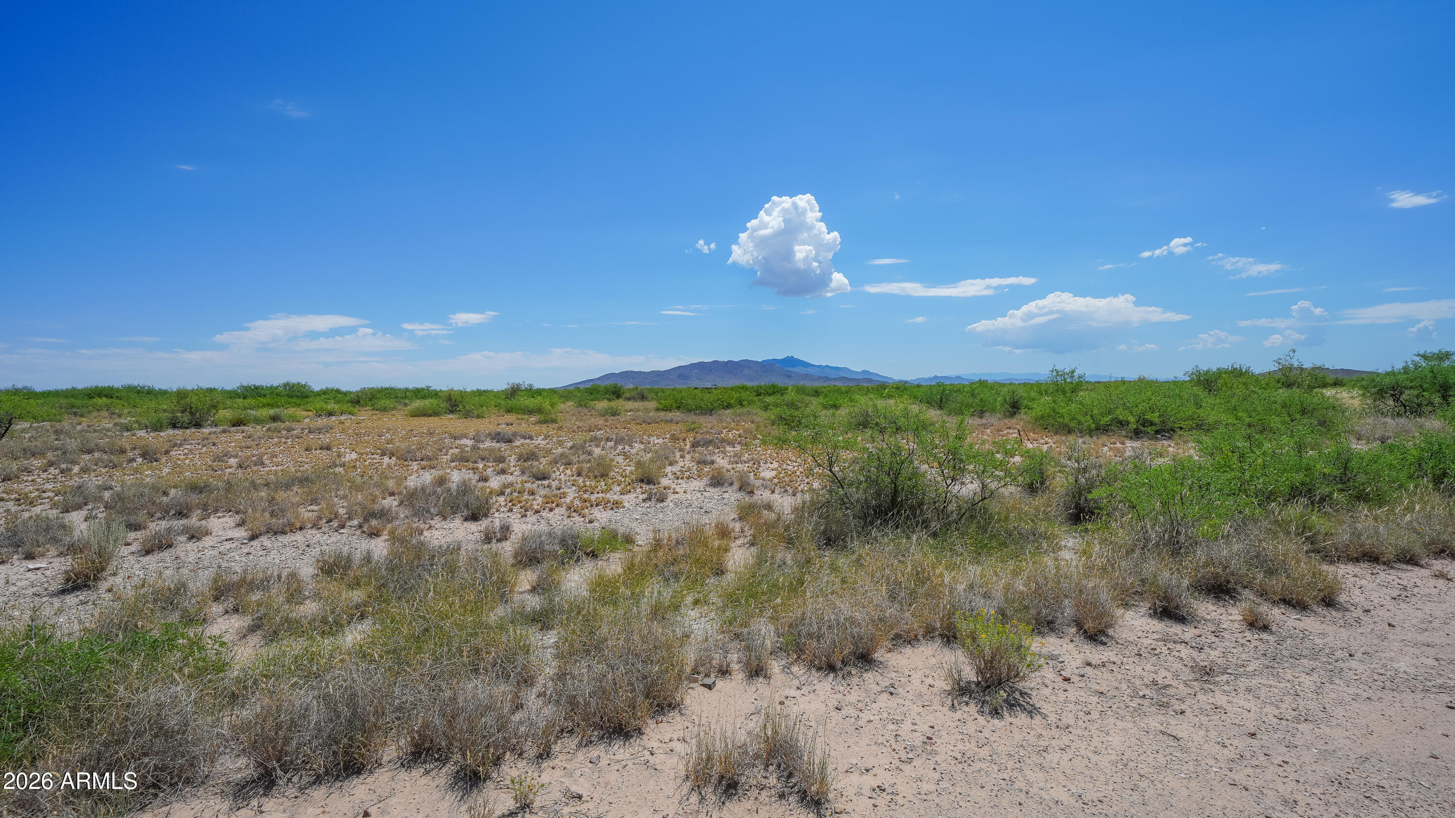 165 North Blue Jay Road, Unit 165 Willcox, AZ 85643 - Photo 1 of 8 00