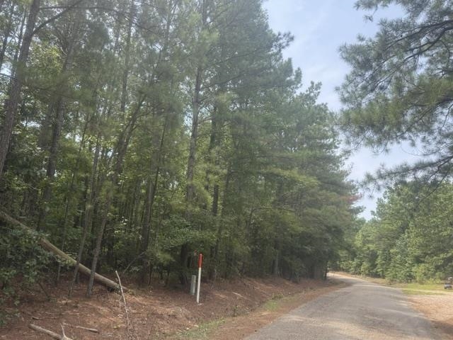 4 Hardin Graveyard Road Enville, TN 38332 - Photo 4 of 29