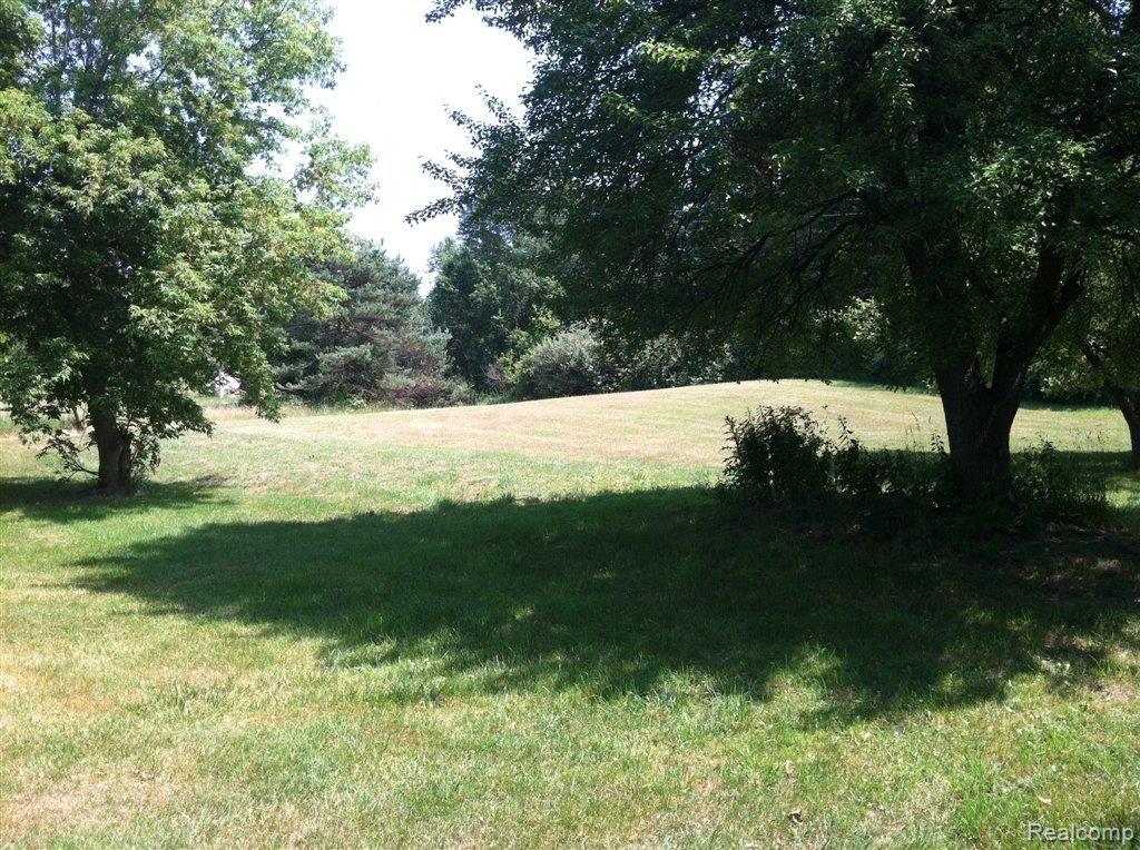 3789 Baldwin Road Metamora, MI 48455 - Photo 20 of 23 Exterior Yard3.jpg