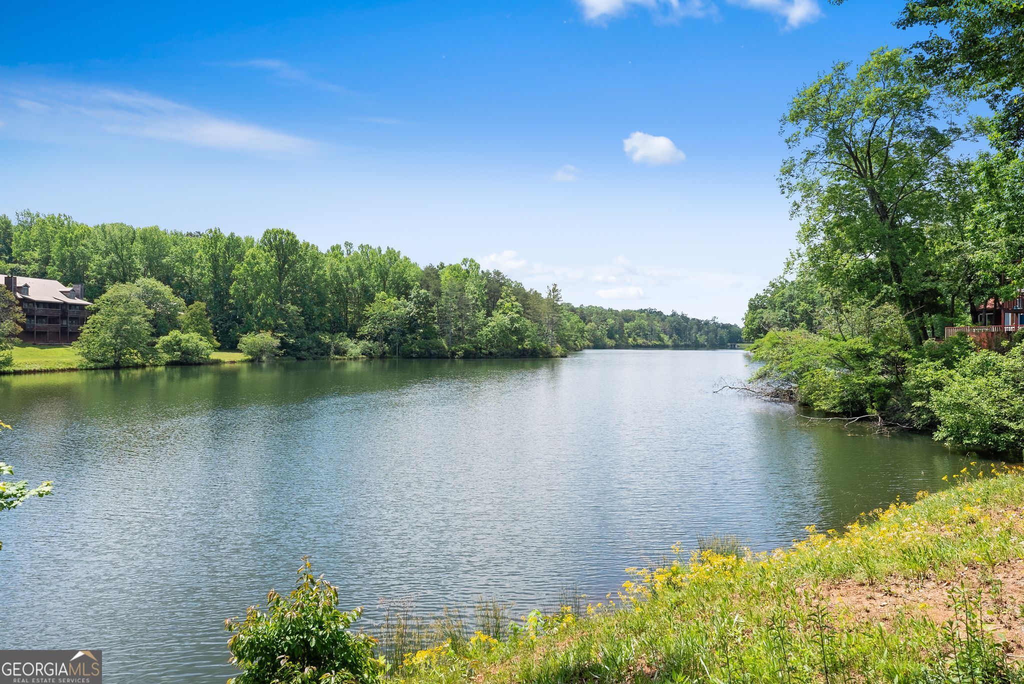 91 Magnificent Way, Unit D45 Cleveland, GA 30528 - Photo 3 of 46 Lake View from Camper Lot
