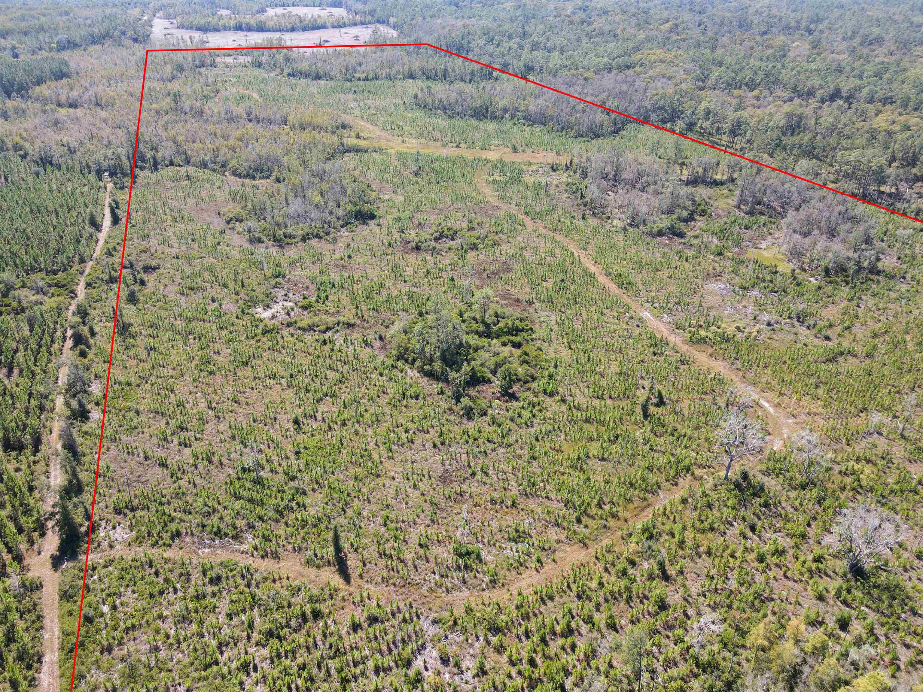 0 Southwest Mount Gilead Road Greenville, FL 32331 - Photo 26 of 33