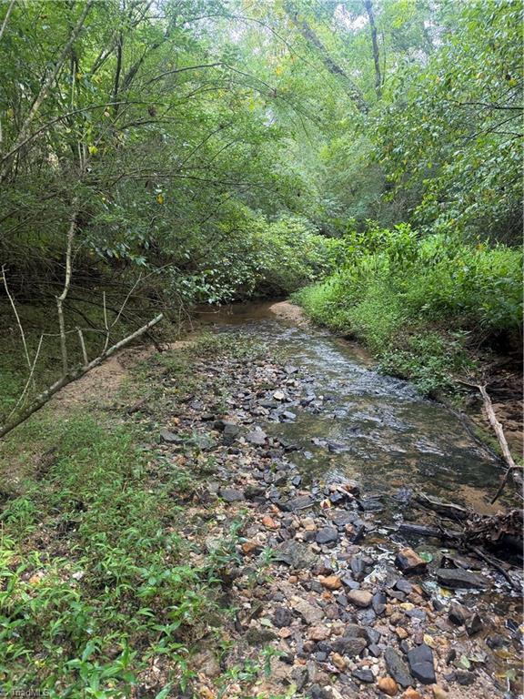 N/a Red White And Blue Road Roaring River, NC 28669 - Photo 3 of 17 Stream