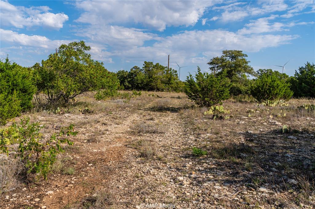 1982 Mountain Pass Merkel, TX 79536 - Photo 22 of 40 View of nature