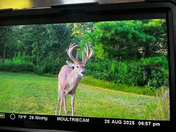 $750,000 | W4703 28th Street, Necedah, WI 54646