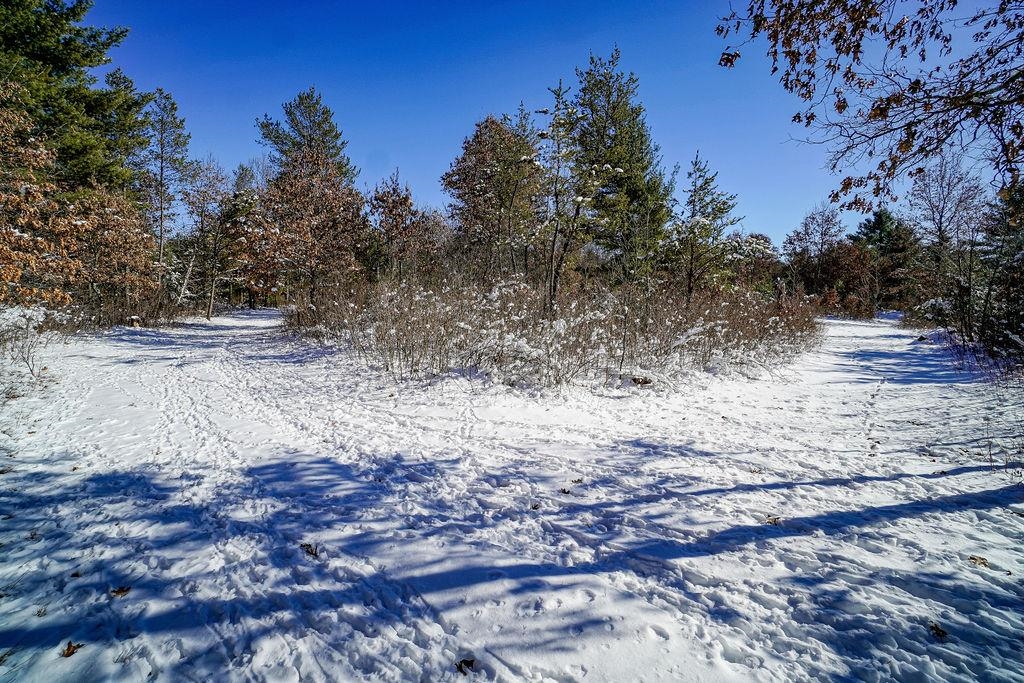 W4703 28th Street Necedah, WI 54646 - Photo 75 of 90
