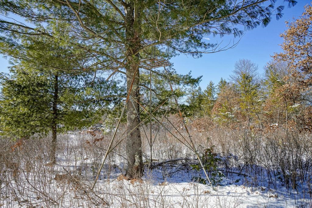 W4703 28th Street Necedah, WI 54646 - Photo 76 of 90