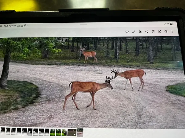 $750,000 | W4703 28th Street, Necedah, WI 54646