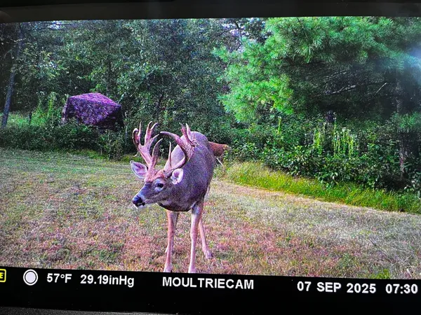 $750,000 | W4703 28th Street, Necedah, WI 54646