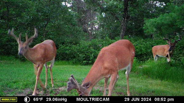 $750,000 | W4703 28th Street, Necedah, WI 54646