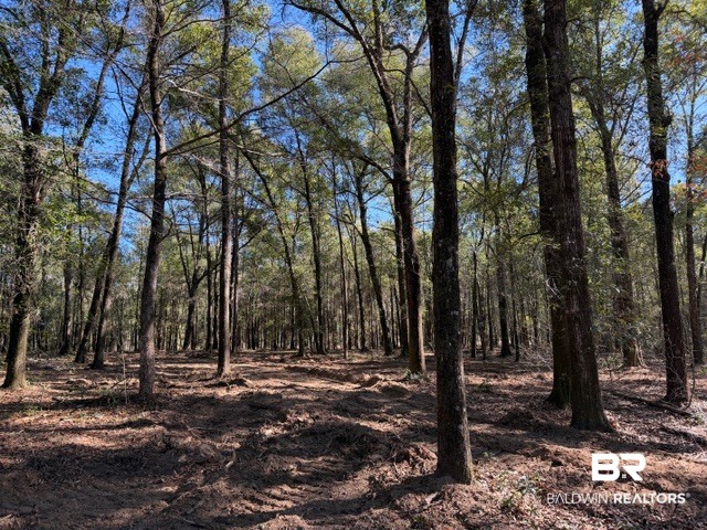 0 Danner Road East Wilmer, AL 36587 - Photo 14 of 34 Gallery Image 14