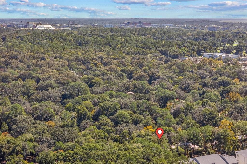 601 Northwest 36th Drive Gainesville, FL 32607 - Photo 32 of 36 a view of a field with an ocean and mountain view