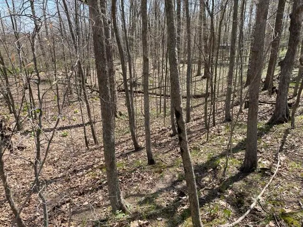 $95,000 | South 1st Street, Schoolcraft, MI 49087