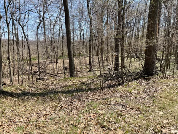 $95,000 | South 1st Street, Schoolcraft, MI 49087