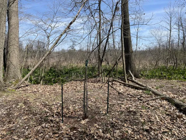 $95,000 | South 1st Street, Schoolcraft, MI 49087