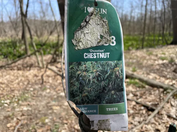 $95,000 | South 1st Street, Schoolcraft, MI 49087