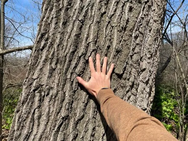 $95,000 | South 1st Street, Schoolcraft, MI 49087