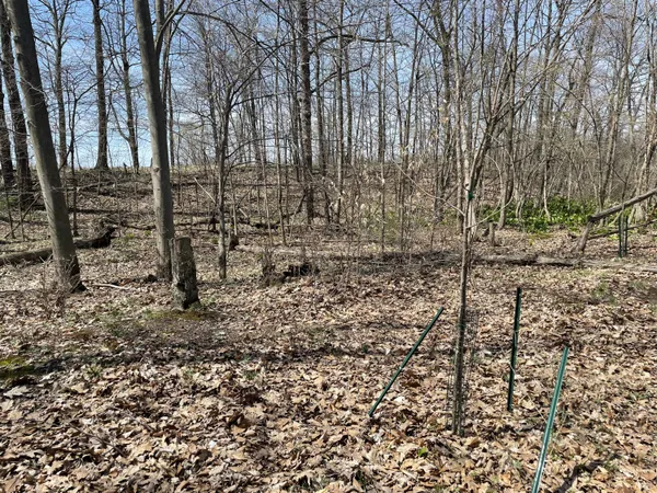 $95,000 | South 1st Street, Schoolcraft, MI 49087