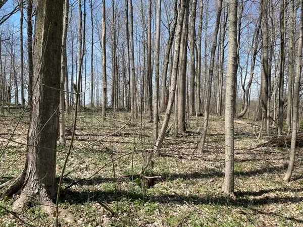 $95,000 | South 1st Street, Schoolcraft, MI 49087