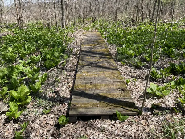 $95,000 | South 1st Street, Schoolcraft, MI 49087