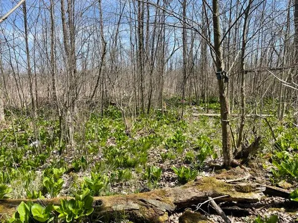 $95,000 | South 1st Street, Schoolcraft, MI 49087