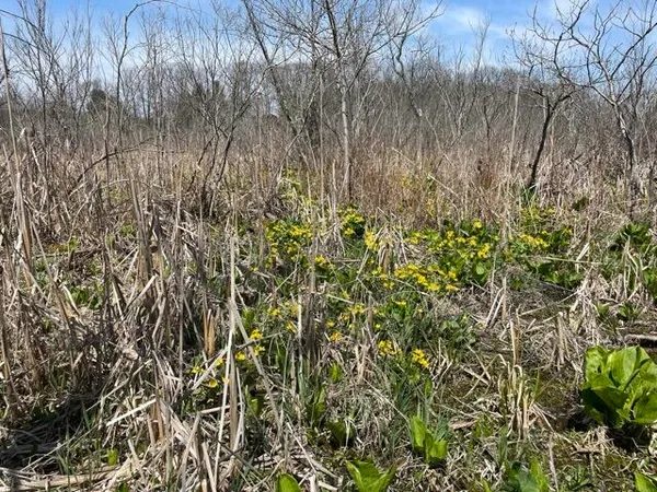 $95,000 | South 1st Street, Schoolcraft, MI 49087