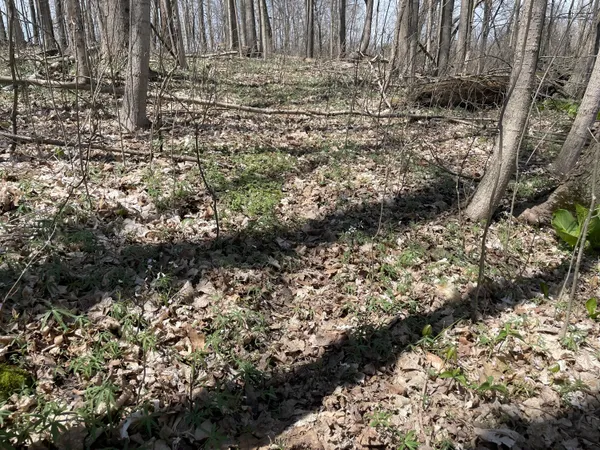 $95,000 | South 1st Street, Schoolcraft, MI 49087