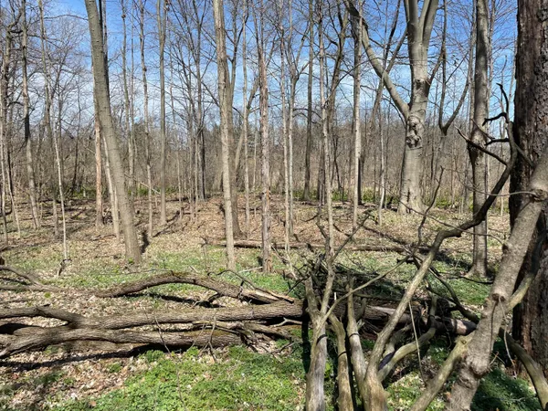 $95,000 | South 1st Street, Schoolcraft, MI 49087