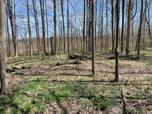 $95,000 | South 1st Street, Schoolcraft, MI 49087