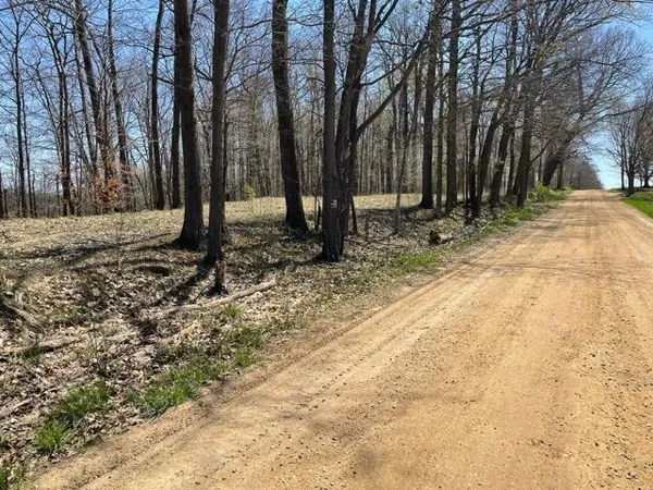 $95,000 | South 1st Street, Schoolcraft, MI 49087