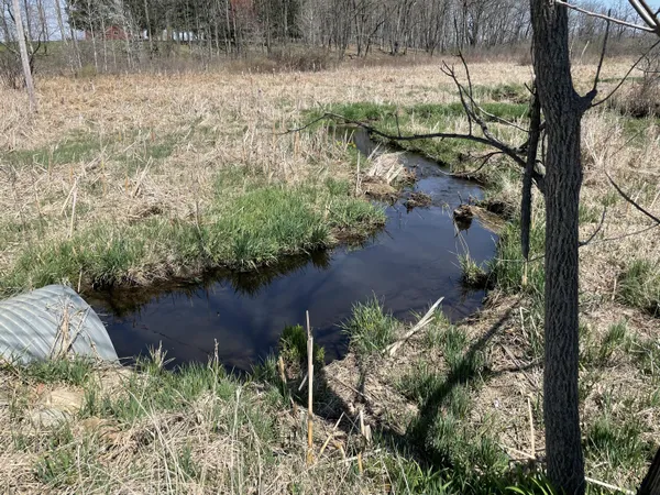 $95,000 | South 1st Street, Schoolcraft, MI 49087