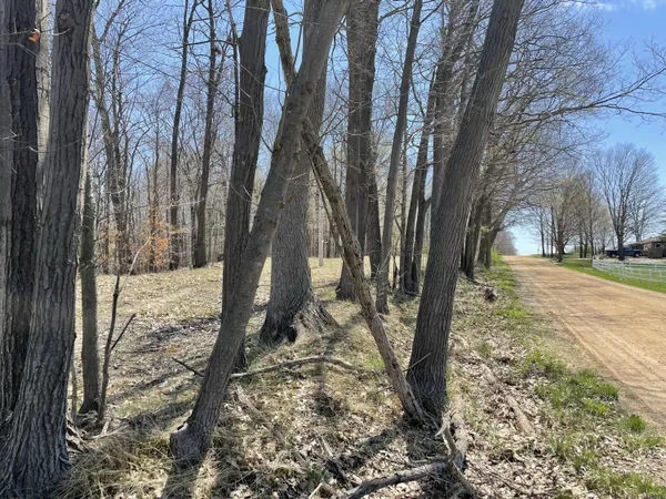 $95,000 | South 1st Street, Schoolcraft, MI 49087