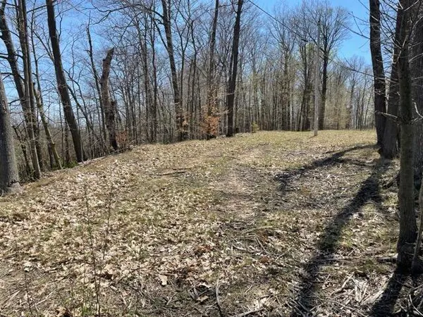 $95,000 | South 1st Street, Schoolcraft, MI 49087