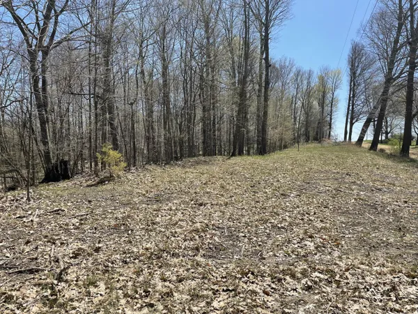 $95,000 | South 1st Street, Schoolcraft, MI 49087