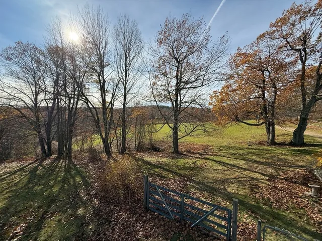 a view of a yard with trees