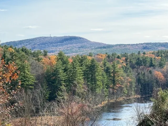 a view of a and mountain in a field