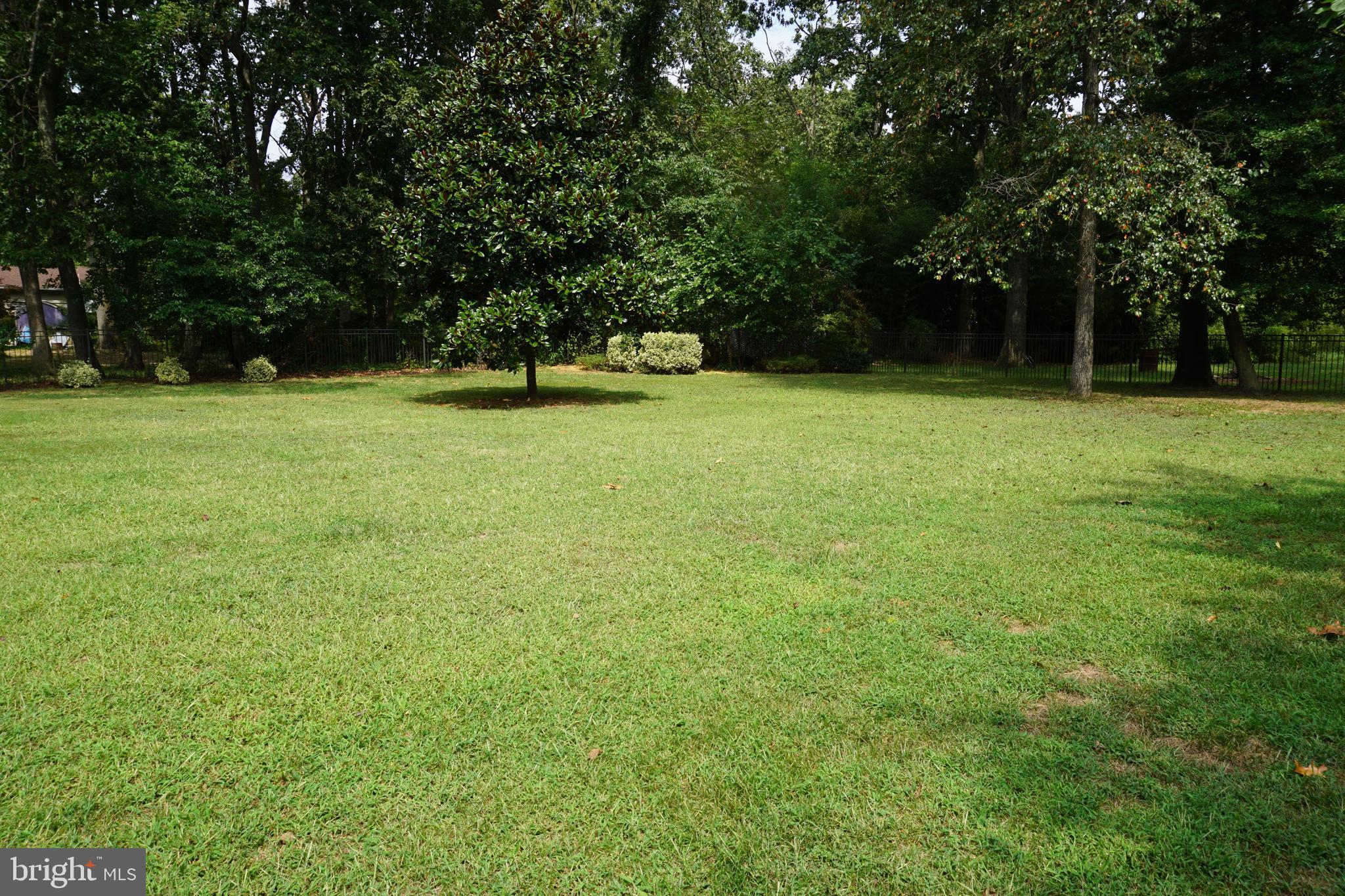 8448 Alvin Road Pasadena, MD 21122 - Photo 50 of 59 Gallery Image 50