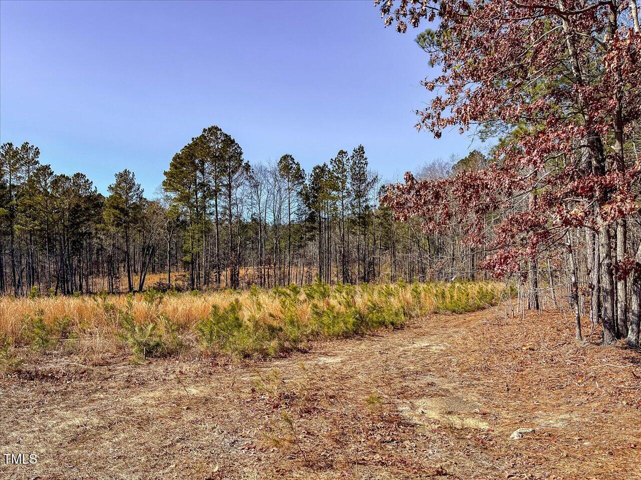 3 Robedo Rd Mount Mount Gilead, NC 27306 - Photo 15 of 24 19-019-Tract3-RobedoRd-MontgomeryCounty-