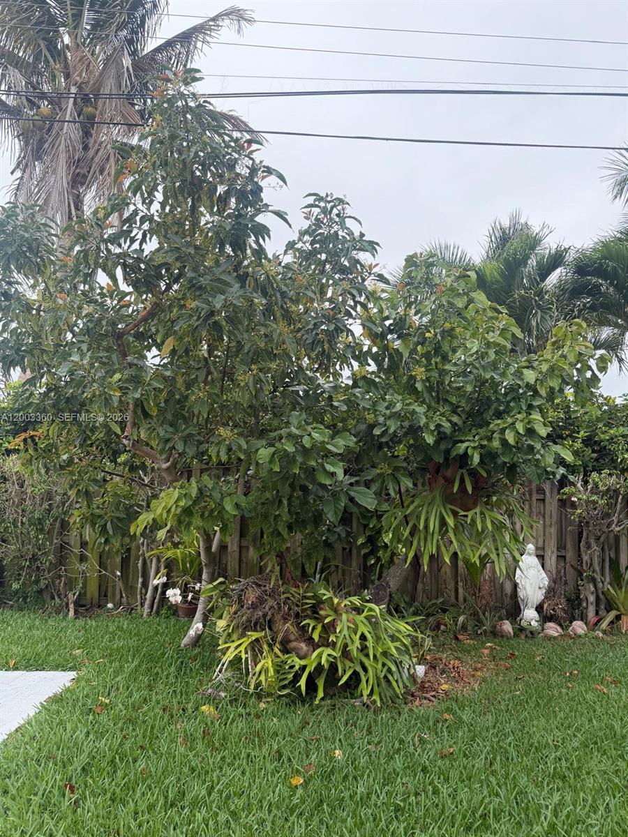 1251 Southwest 11th Terrace Boca Raton, FL 33486 - Photo 39 of 47 a backyard of a house with lots of green space