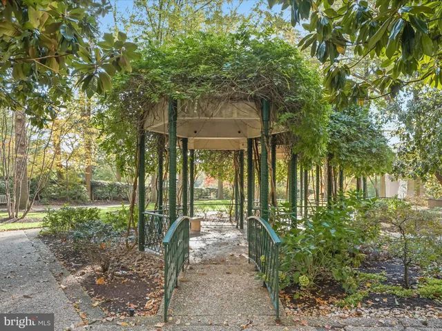 a garden view with tall trees