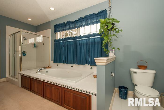 30 Hickory Hills Road Geneseo, IL 61254 - Photo 12 of 24 Gallery Image 12