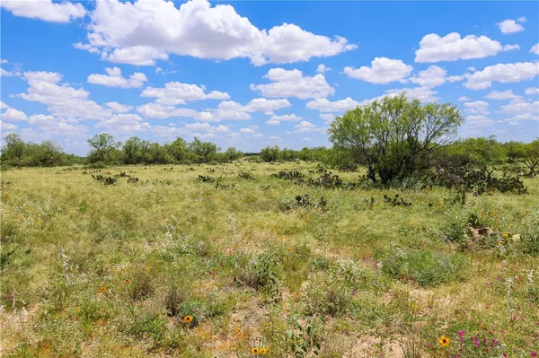 $7,269,000 | 767 Toquiny Lane, Carrizo Springs, TX 78834