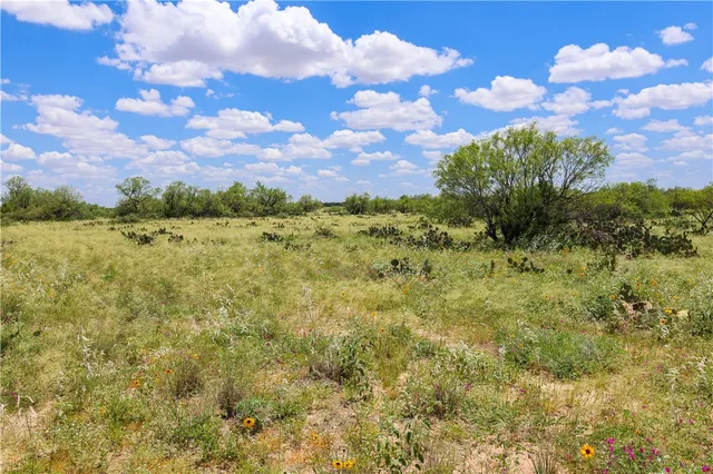 a view of city and ocean