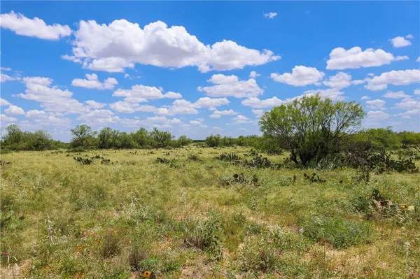 $7,269,000 | 767 Toquiny Lane, Carrizo Springs, TX 78834