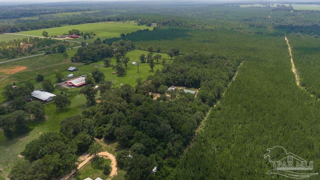 3101 Breastworks Road McDavid, FL 32568 - Photo 38 of 42 Gallery Image 38