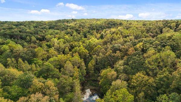1071 Simms Heights Road Kingston Springs, TN 37082 - Photo 28 of 31 a view of a yard with an outdoor space