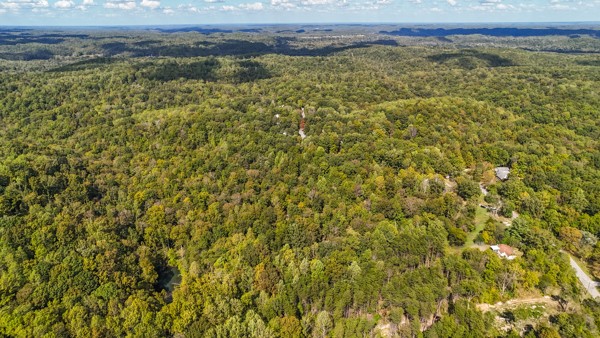 1071 Simms Heights Road Kingston Springs, TN 37082 - Photo 30 of 31 a view of a field