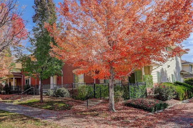 a view of a backyard with plants